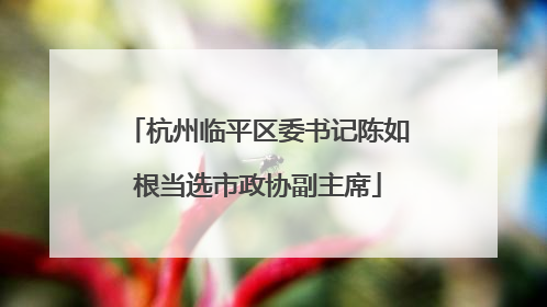 杭州临平区委书记陈如根当选市政协副主席