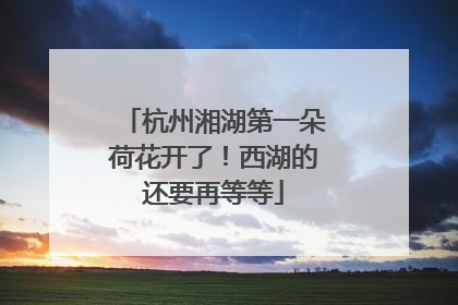 杭州湘湖第一朵荷花开了！西湖的还要再等等