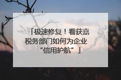 极速修复！看获嘉税务部门如何为企业“信用护航”