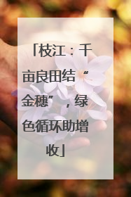 枝江：千亩良田结“金穗”，绿色循环助增收