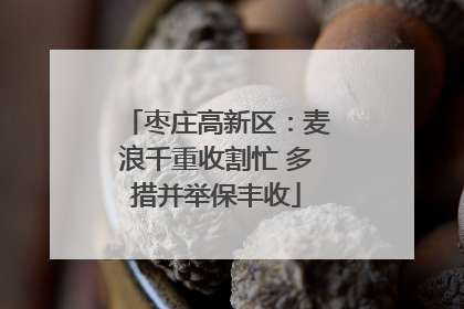枣庄高新区：麦浪千重收割忙 多措并举保丰收