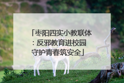 枣阳四实小教联体：反邪教育进校园 守护青春筑安全
