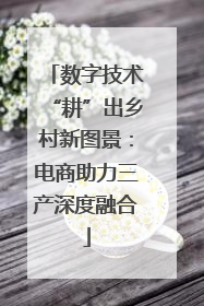 数字技术“耕”出乡村新图景：电商助力三产深度融合