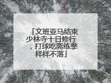 文班亚马结束少林寺十日修行，打球吃斋练拳样样不落