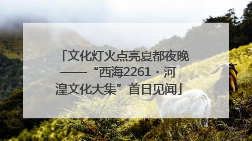 文化灯火点亮夏都夜晚——“西海2261・河湟文化大集”首日见闻