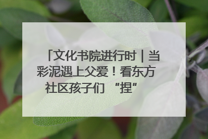 文化书院进行时｜当彩泥遇上父爱！看东方社区孩子们 “捏” 出心目中的爸爸