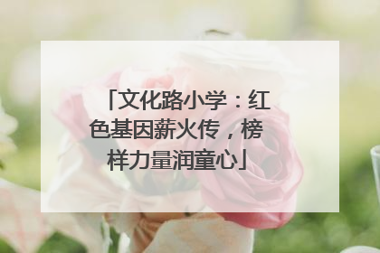 文化路小学：红色基因薪火传，榜样力量润童心