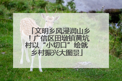 文明乡风浸润山乡！广信区田墩镇黄坑村以“小切口”绘就乡村振兴大图景