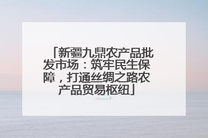 新疆九鼎农产品批发市场：筑牢民生保障，打通丝绸之路农产品贸易枢纽