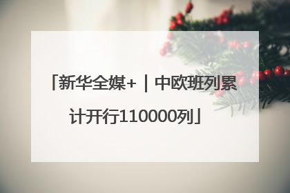 新华全媒+｜中欧班列累计开行110000列