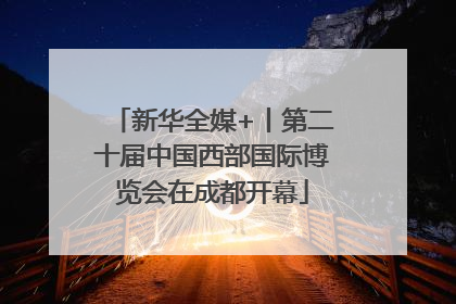 新华全媒+丨第二十届中国西部国际博览会在成都开幕