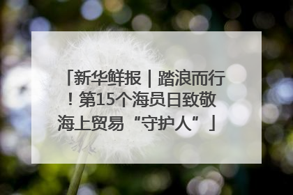新华鲜报｜踏浪而行！第15个海员日致敬海上贸易“守护人”