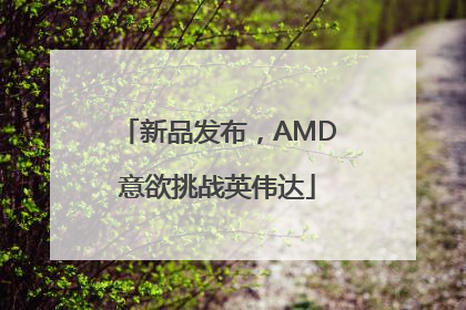 新品发布，AMD意欲挑战英伟达
