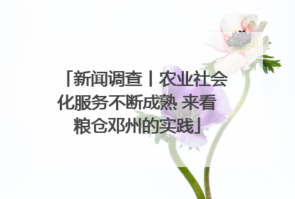 新闻调查丨农业社会化服务不断成熟 来看粮仓邓州的实践