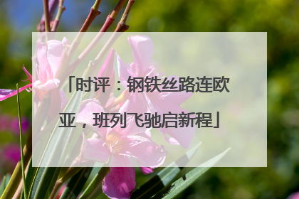 时评：钢铁丝路连欧亚，班列飞驰启新程