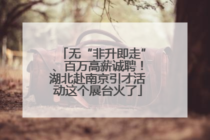 无“非升即走”、百万高薪诚聘！湖北赴南京引才活动这个展台火了