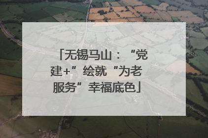 无锡马山：“党建+”绘就“为老服务”幸福底色