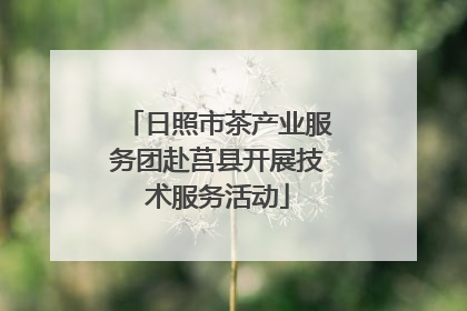 日照市茶产业服务团赴莒县开展技术服务活动