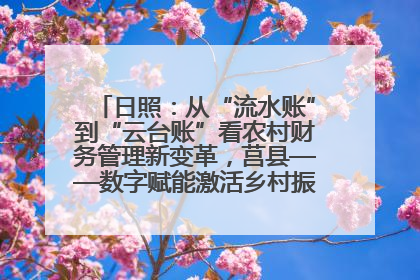 日照：从“流水账”到“云台账”看农村财务管理新变革，莒县——数字赋能激活乡村振兴“一池春水”