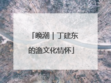 晚潮｜丁建东的渔文化情怀