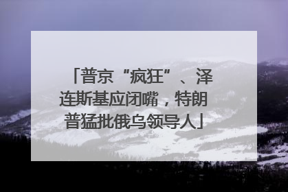 普京“疯狂”、泽连斯基应闭嘴，特朗普猛批俄乌领导人