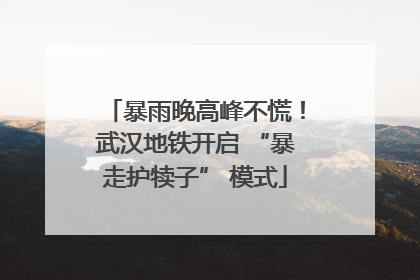 暴雨晚高峰不慌！武汉地铁开启 “暴走护犊子” 模式
