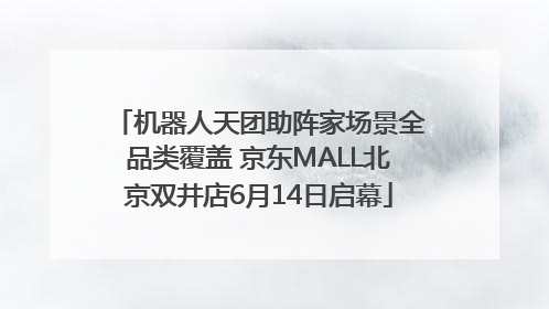 机器人天团助阵家场景全品类覆盖 京东MALL北京双井店6月14日启幕