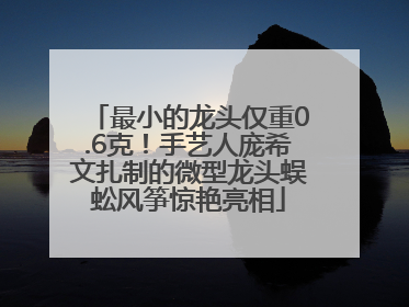 最小的龙头仅重0.6克！手艺人庞希文扎制的微型龙头蜈蚣风筝惊艳亮相
