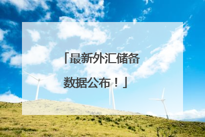 最新外汇储备数据公布！