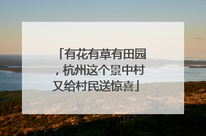 有花有草有田园，杭州这个景中村又给村民送惊喜