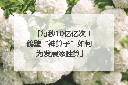 每秒10亿亿次！鹤壁“神算子”如何为发展添胜算