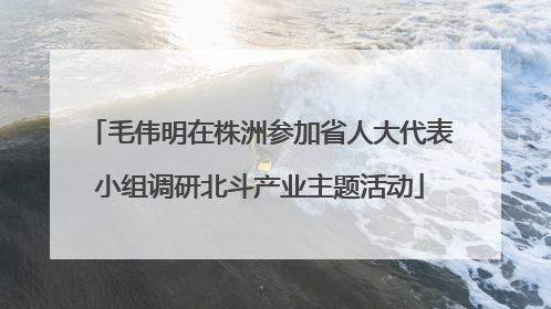 毛伟明在株洲参加省人大代表小组调研北斗产业主题活动