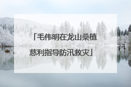 毛伟明在龙山桑植慈利指导防汛救灾