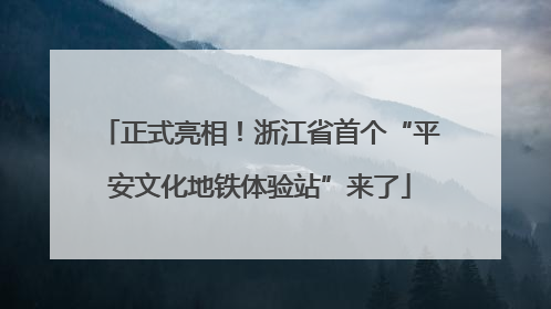 正式亮相！浙江省首个“平安文化地铁体验站”来了