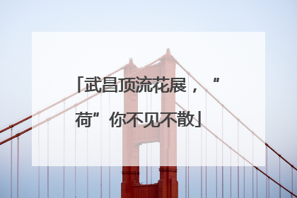 武昌顶流花展，“荷”你不见不散