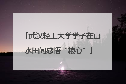 武汉轻工大学学子在山水田间感悟“粮心”