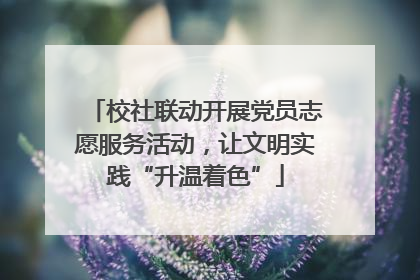 校社联动开展党员志愿服务活动，让文明实践“升温着色”