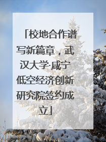 校地合作谱写新篇章，武汉大学·咸宁低空经济创新研究院签约成立