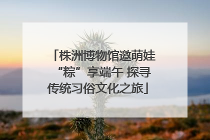 株洲博物馆邀萌娃“粽”享端午 探寻传统习俗文化之旅