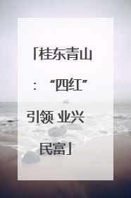桂东青山：“四红”引领 业兴民富