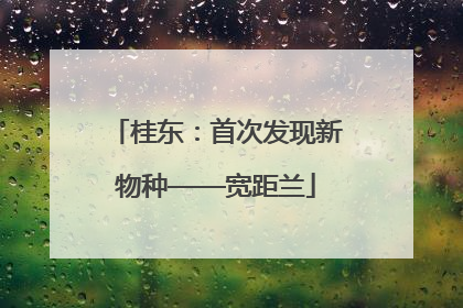 桂东：首次发现新物种——宽距兰