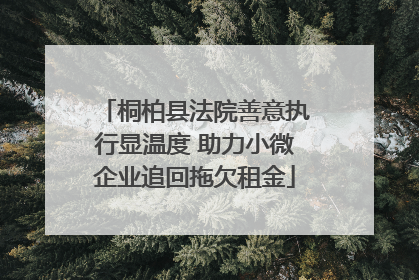 桐柏县法院善意执行显温度 助力小微企业追回拖欠租金