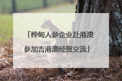 桦甸人参企业赴港澳参加吉港澳经贸交流