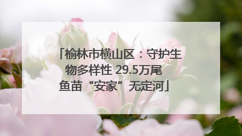 榆林市横山区：守护生物多样性 29.5万尾鱼苗“安家”无定河