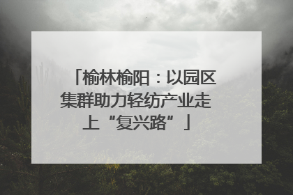 榆林榆阳：以园区集群助力轻纺产业走上“复兴路”