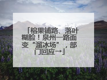 榕果铺路、落叶糊脸！泉州一路面变“溜冰场”，部门回应→