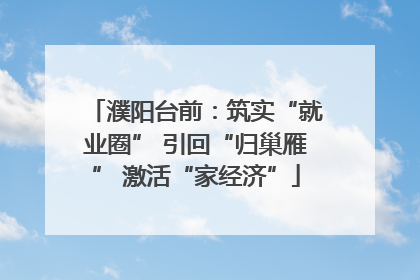 濮阳台前：筑实“就业圈” 引回“归巢雁” 激活“家经济”