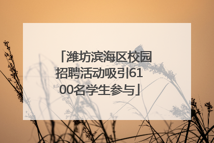潍坊滨海区校园招聘活动吸引6100名学生参与