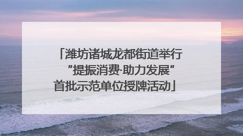 潍坊诸城龙都街道举行“提振消费·助力发展”首批示范单位授牌活动