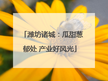 潍坊诸城：瓜甜葱郁处 产业好风光